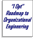 I Opt roadmap to organizational engineering